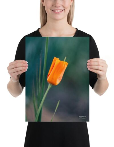 enhanced-matte-paper-poster-_in_-12x16-5fdad10c83fd5 (1)